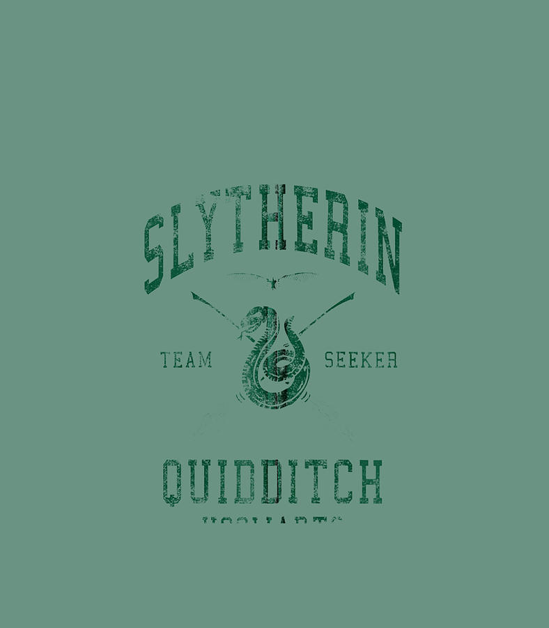 Harry Potter Slytherin Team Seeker Hogwarts Quidditch Digital Art by ...