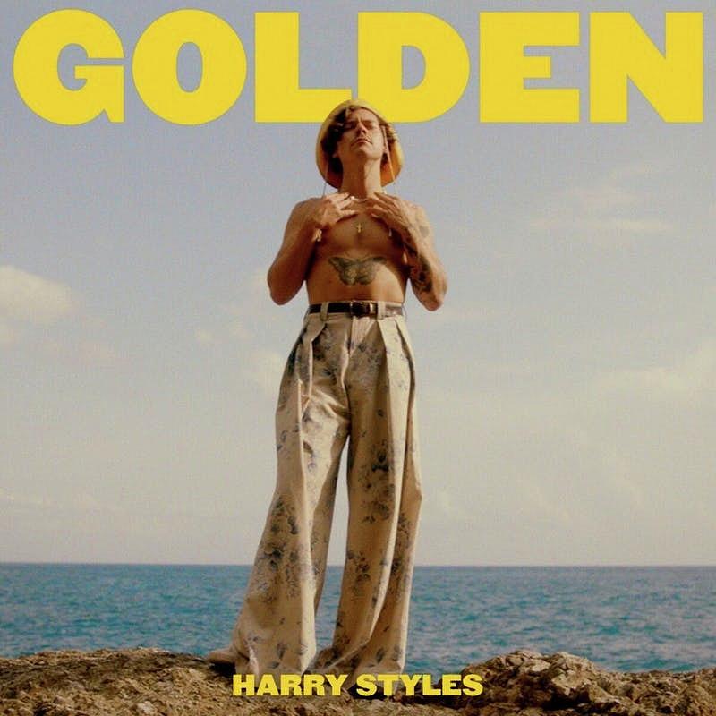 harry styles album cover outfit
