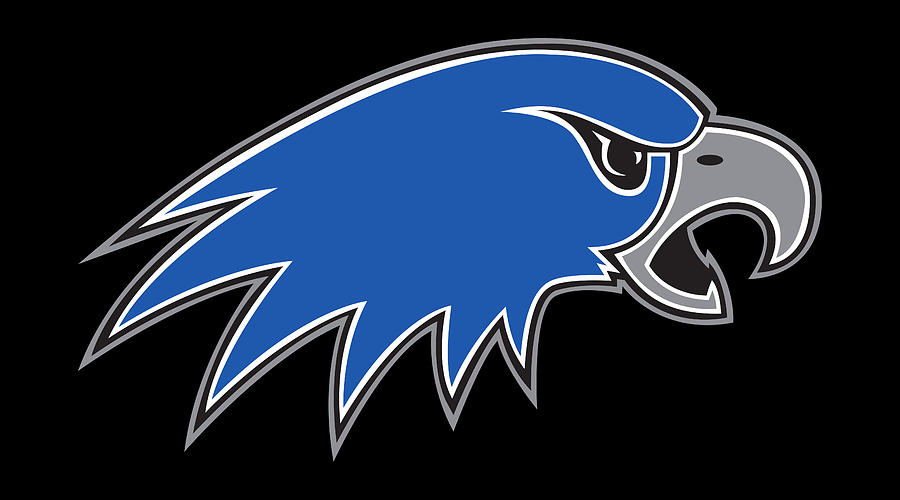 Hartwick Hawks Digital Art By Robert Burs - Fine Art America