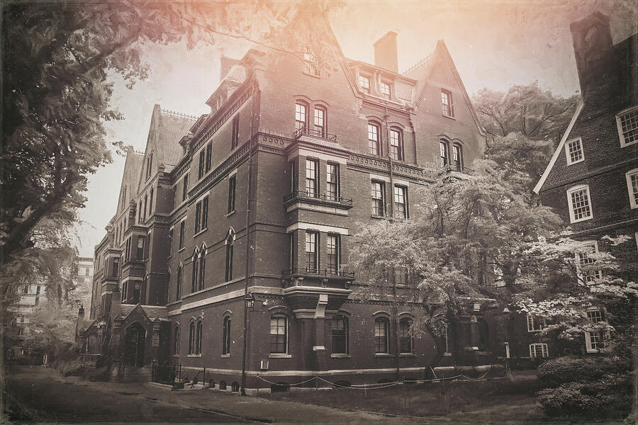 Harvard Yard Cambridge Massachusetts Vintage  Photograph by Carol Japp