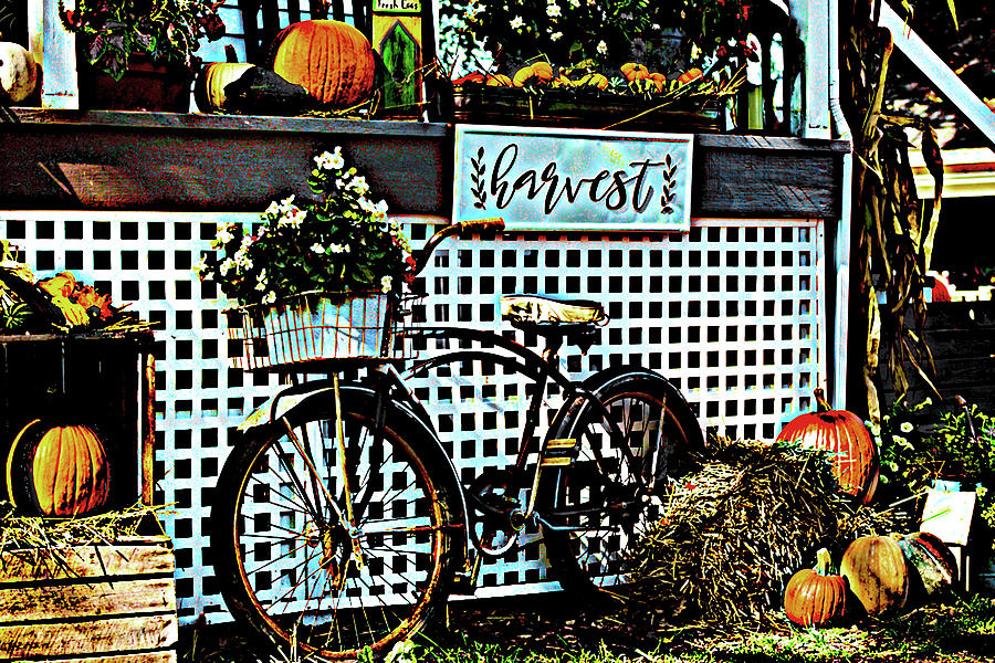 Harvest Bike Photograph