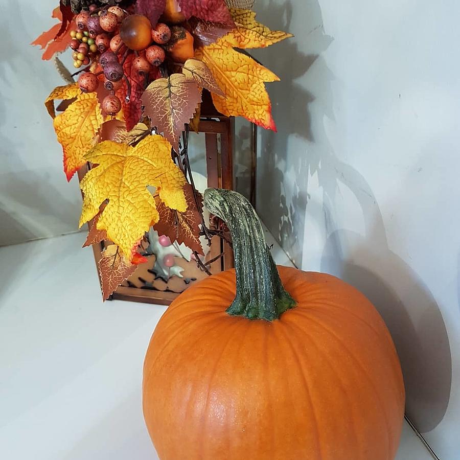 Fall Photograph - Harvest Colors by James Cousineau