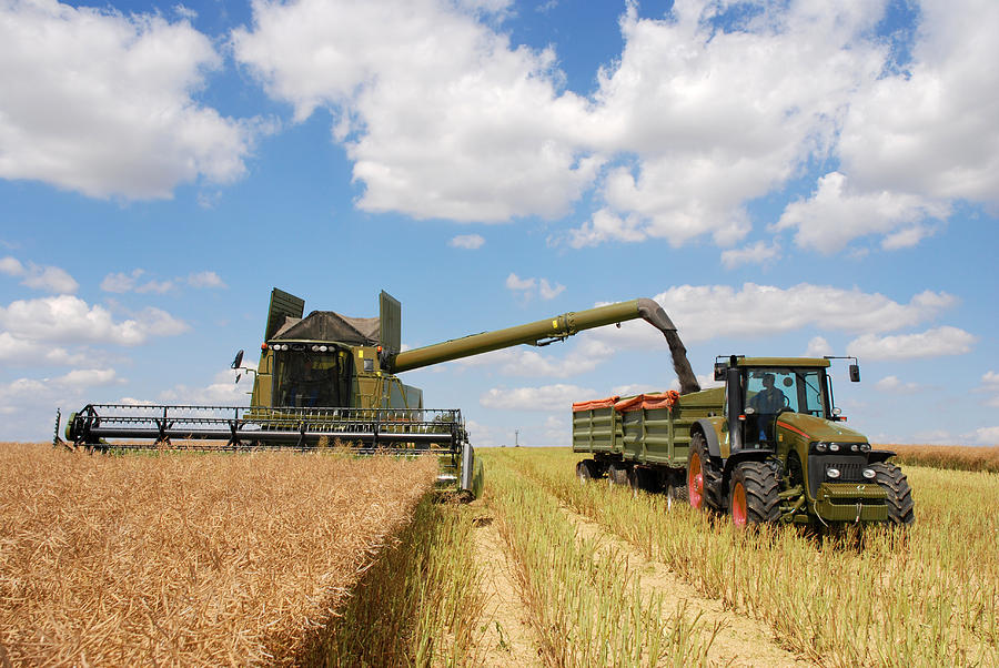 Harvest - combine and tractor at canola field Photograph by Esemelwe