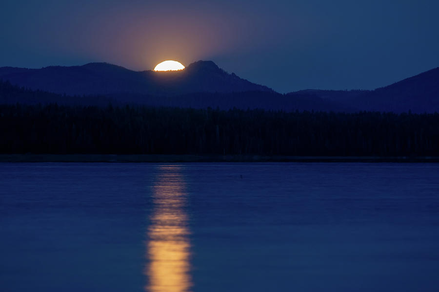 Harvest Moon at Almanor Photograph by Jan Davies