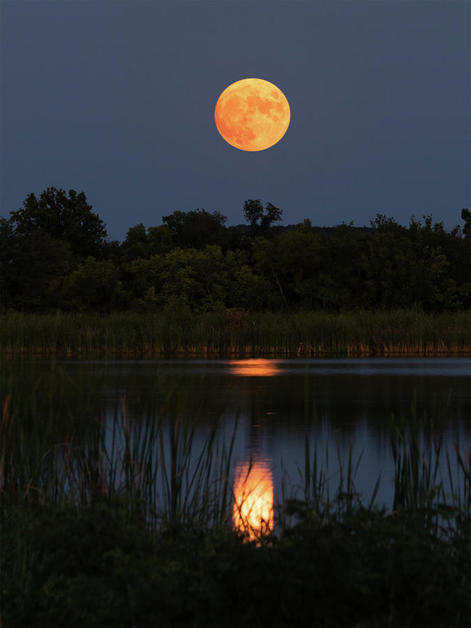 Harvest Moon Photograph by Corey Sievers | Fine Art America