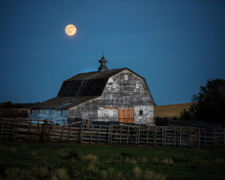 Harvest Moon  Photograph by Harriet Feagin