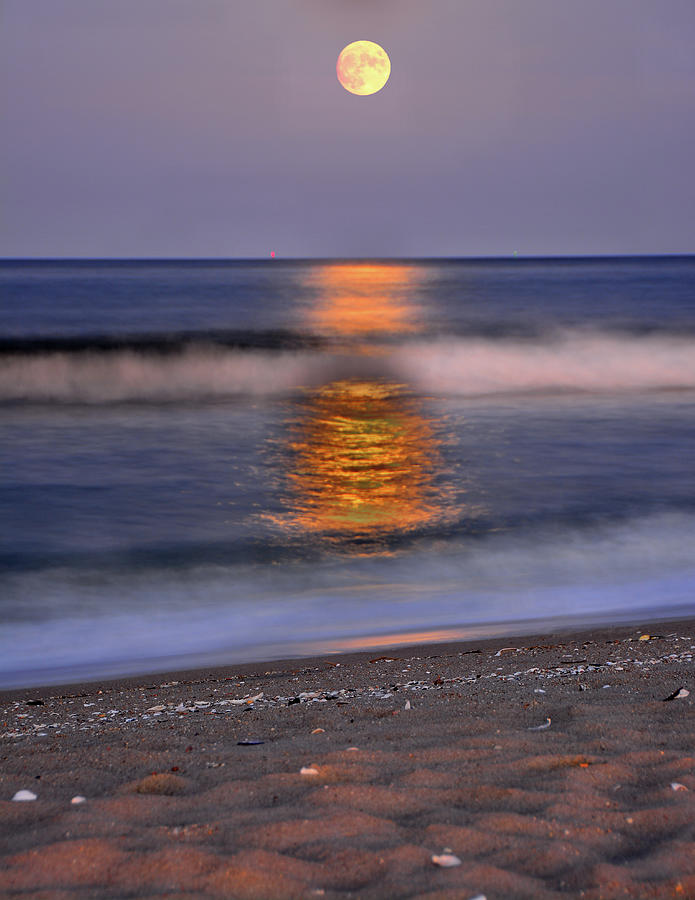 Harvest Moon Rise at Sandy Hook Photograph by Raymond Salani III