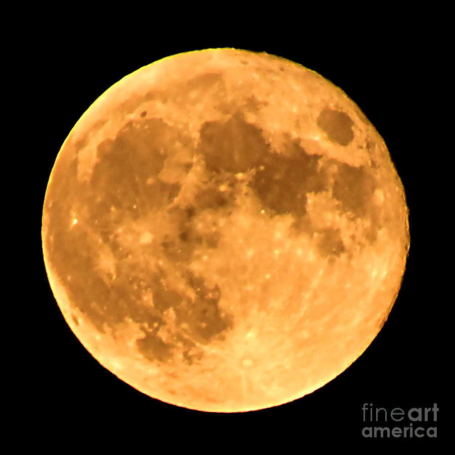 Harvest Moon September 29, 2023 Photograph by Sheila Lee Fine Art America