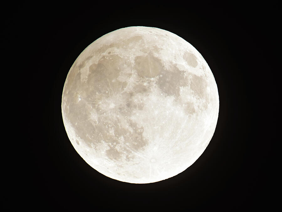 Harvest Moon Photograph by Susie Loechler Harvest Moon Photograph by Susie Loechler