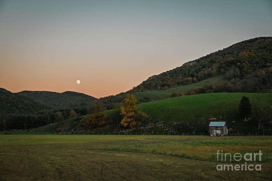 Harvest Moonrise  Photograph by Laura Honaker