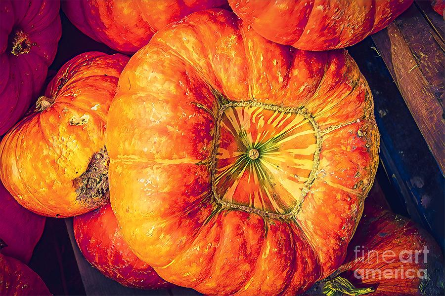 Harvest Pumpkin Photograph by Susan Vineyard