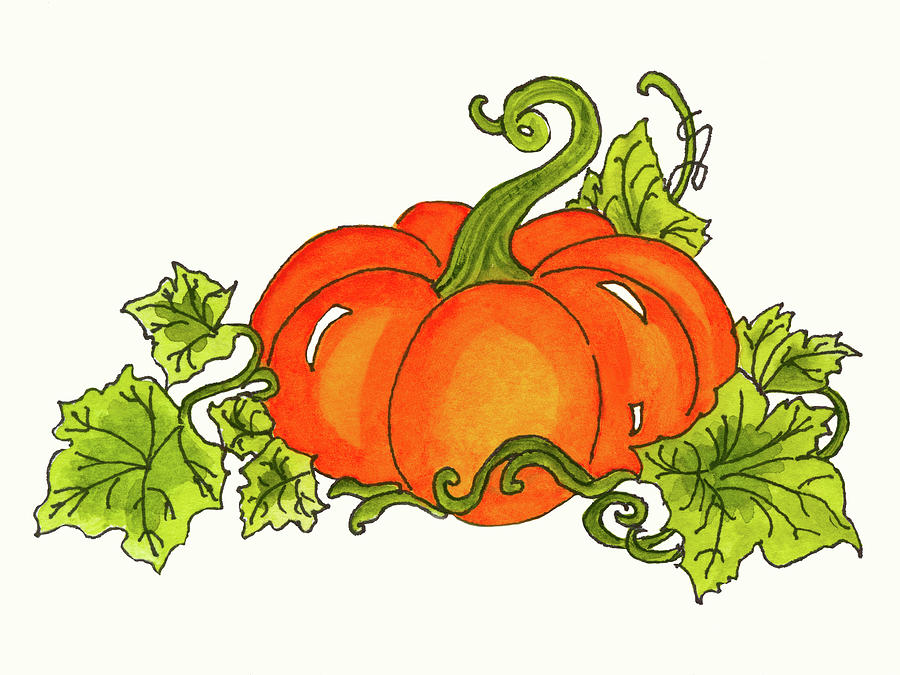 Harvest Pumpkin With Curly Stem And Leafy Vine Painting by Deborah League