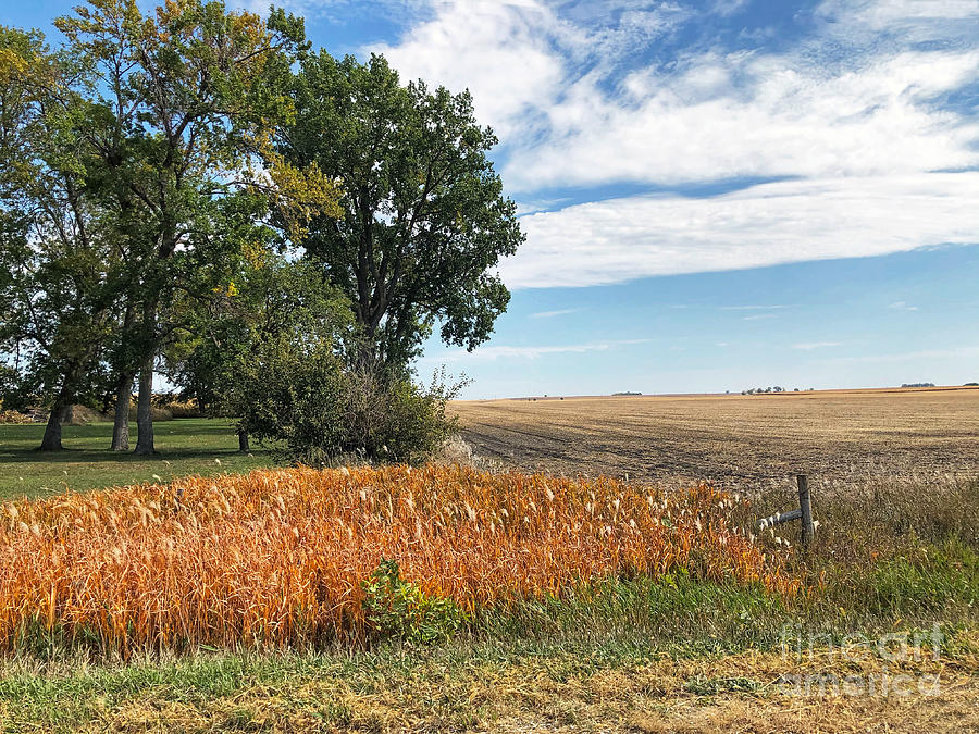 Harvest Season Photograph by Kathy M Krause