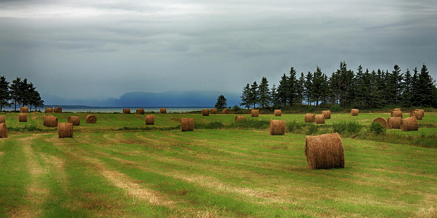 Harvest time in Canada Photograph by Tatiana Travelways