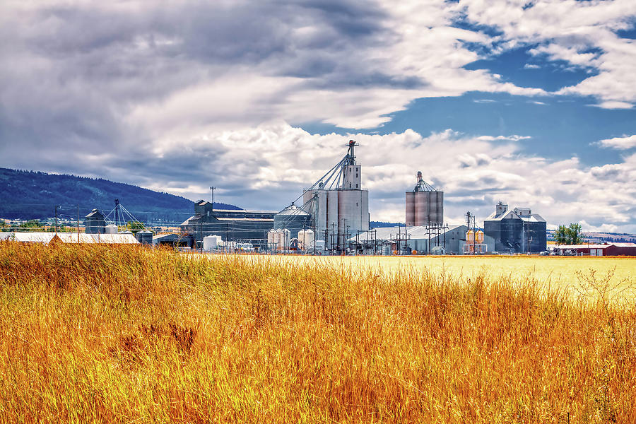 Harvest time in Idaho 2 Photograph by Tatiana Travelways