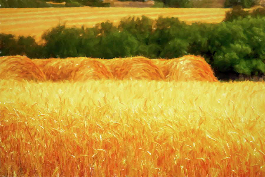 Harvest time in Idaho Digital Art by Tatiana Travelways