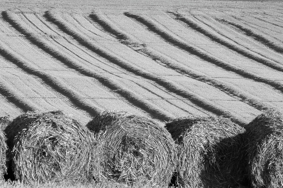 Harvest Time  Photograph by Richard Donovan