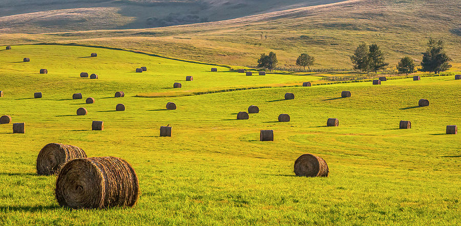 Harvest Time by Ronald Santini Harvest Time by Ronald Santini