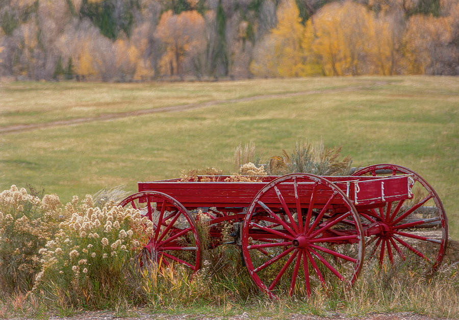 Harvest Wagon Photograph by Marcy Wielfaert