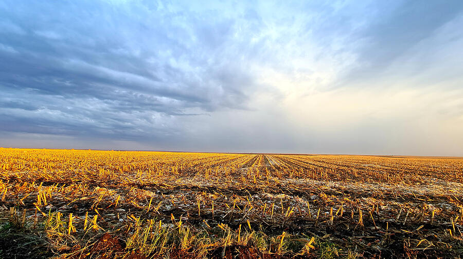 Field Photograph - Harvested Field Under A Dramatic Sky  by Adriana Gheorghe