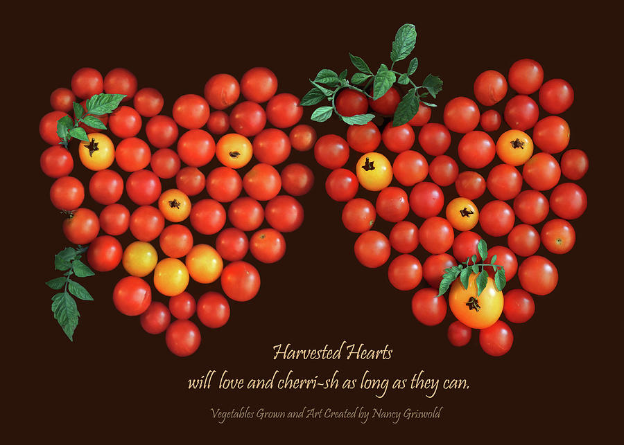 Harvested Hearts Photograph by Nancy Griswold