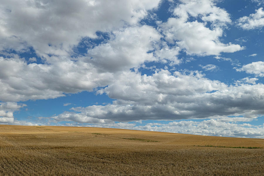 Harvested Wheat Field And Sky Photograph by Karen Rispin | Fine Art America