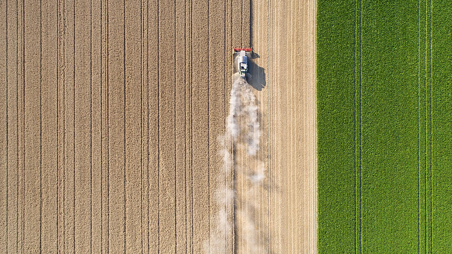 Harvesting a wheat field, dust clouds Photograph by Ollo