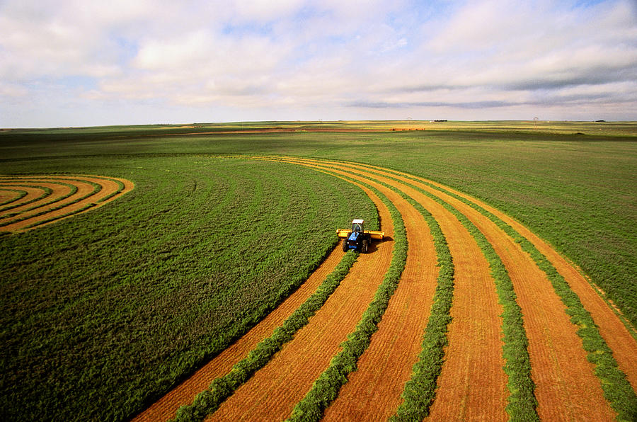 Harvesting alfalfa crop, aerial view Photograph by Andy Sacks