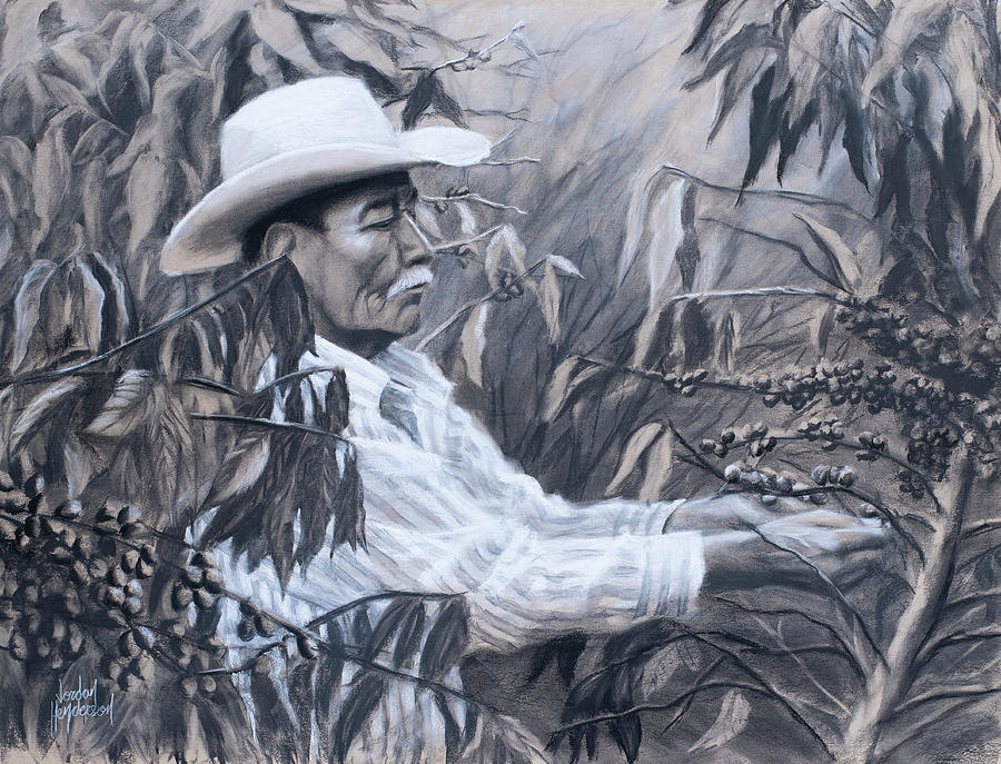 Harvesting Coffee Drawing by Jordan Henderson