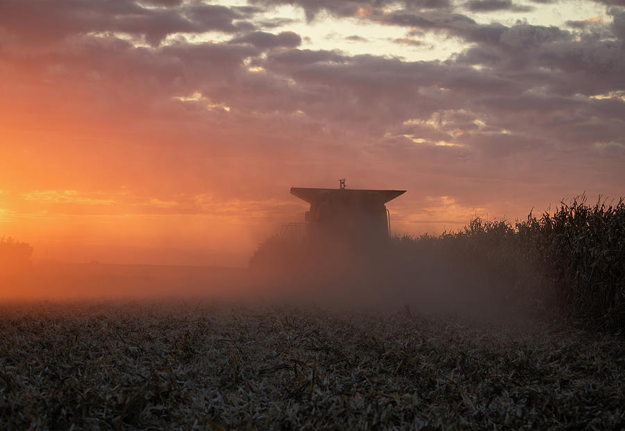 Harvesting Corn Fields at Sunset Photograph by Sandra Js