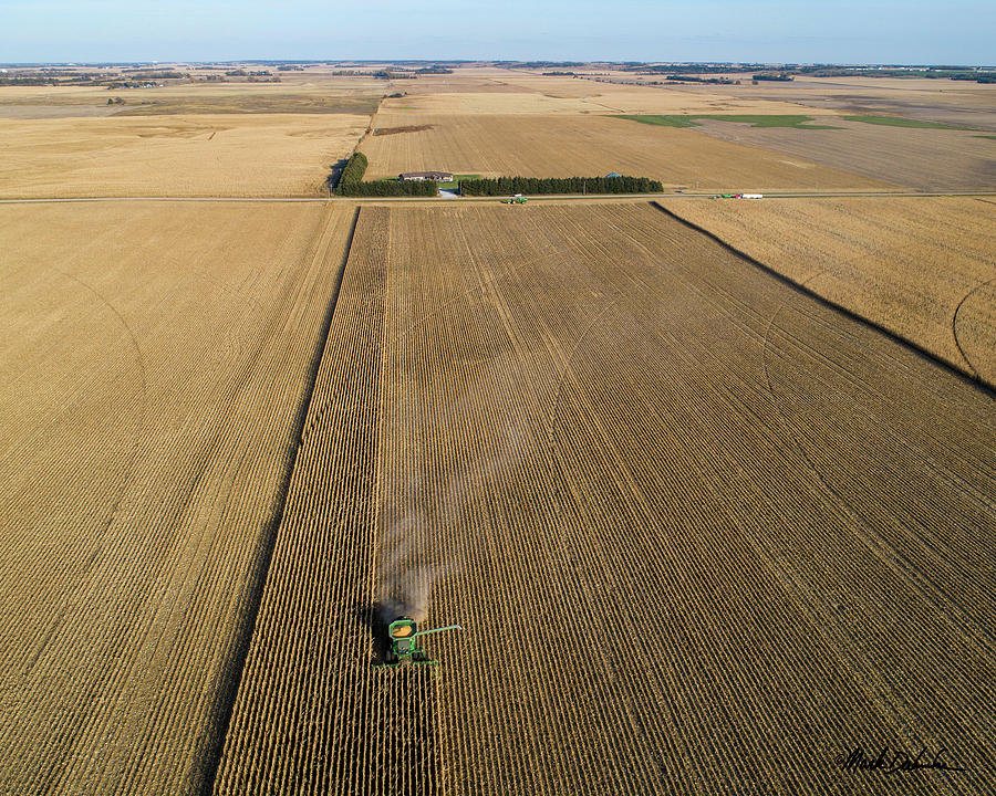 Harvesting Corn Photograph by Mark Dahmke