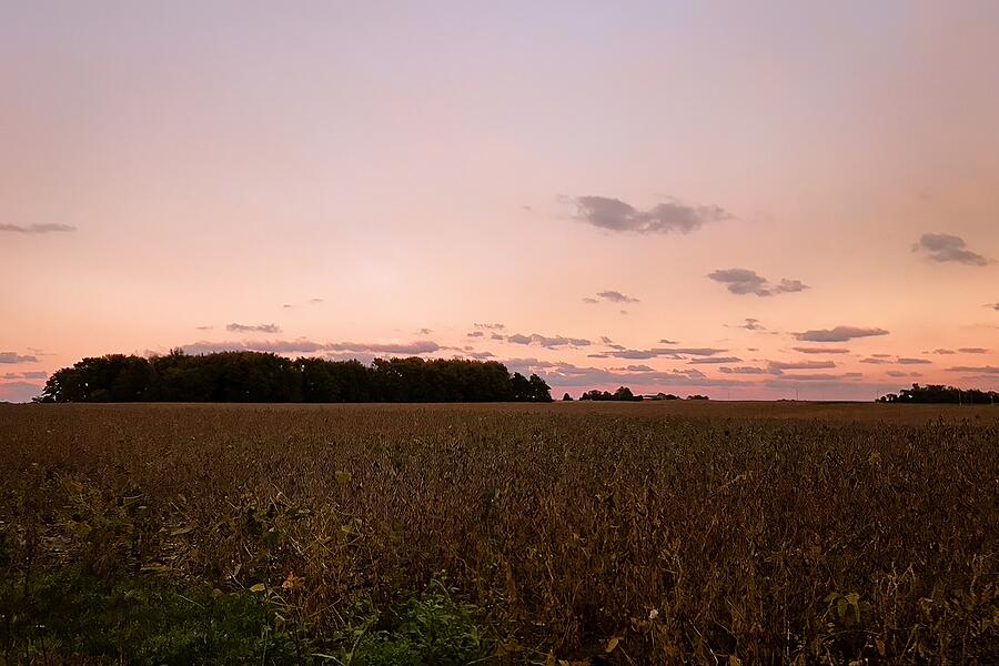 Harvests Embrace Serene Sunset Over Rural Fields Photograph by Travel Essayist Harvests Embrace Serene Sunset Over Rural Fields Photograph by Travel Essayist