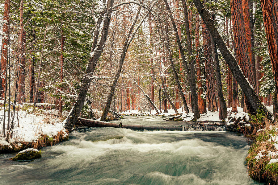 Hat Creek Winter Wonderland Photograph by Mike Lee