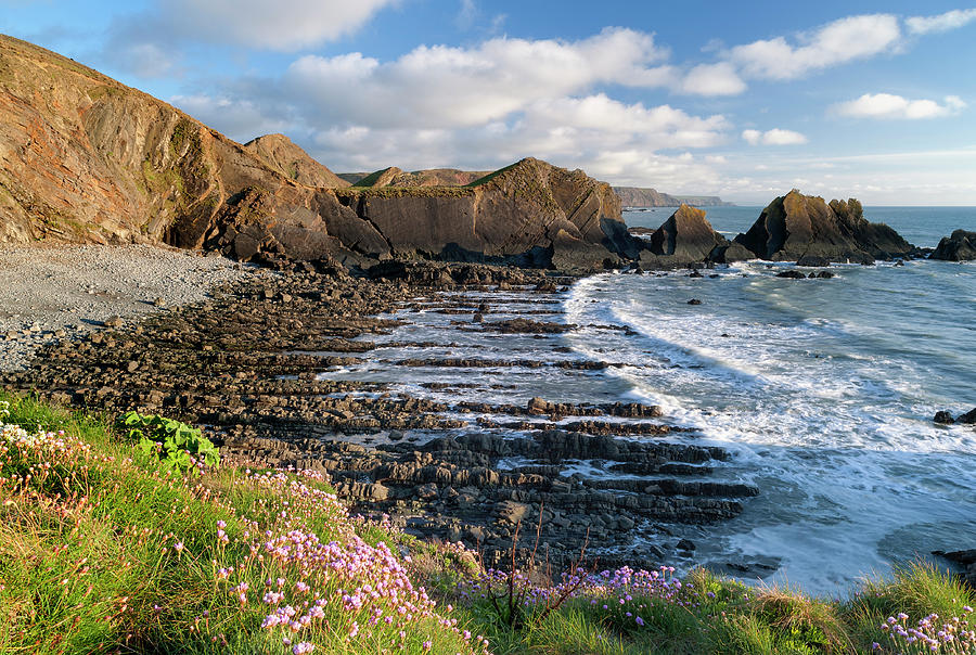 Hatland Coastline Photograph by Stephen Ring - Pixels