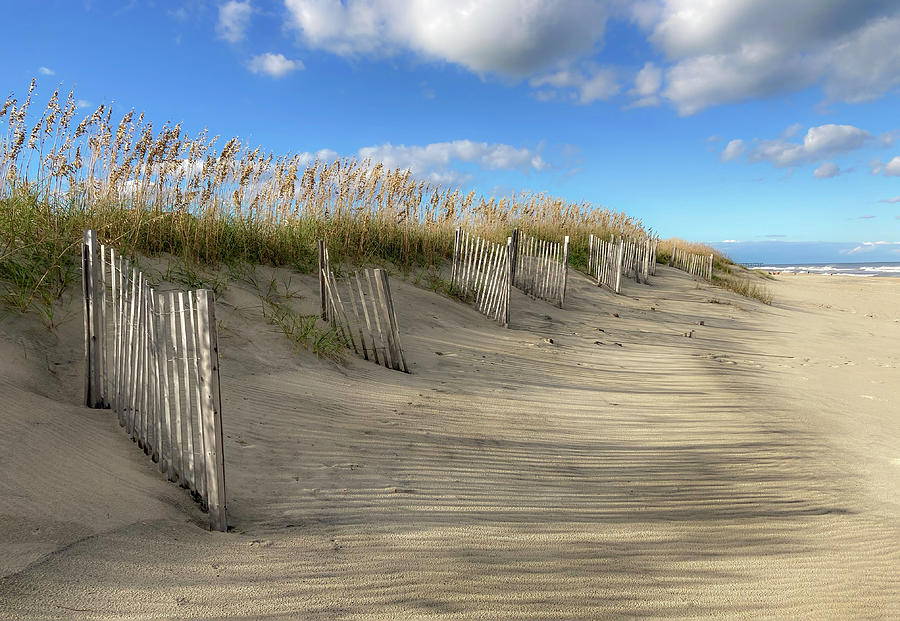 Hatteras Island Sand Fences Photograph by Karen Smale