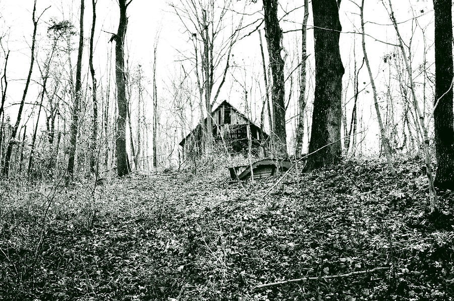 Haunted Barn in the Woods Photograph by Stacie Siemsen