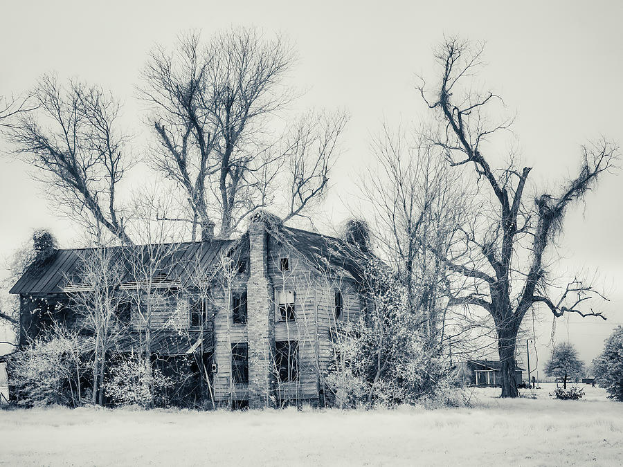 Haunted House bw Photograph by Dan Carmichael