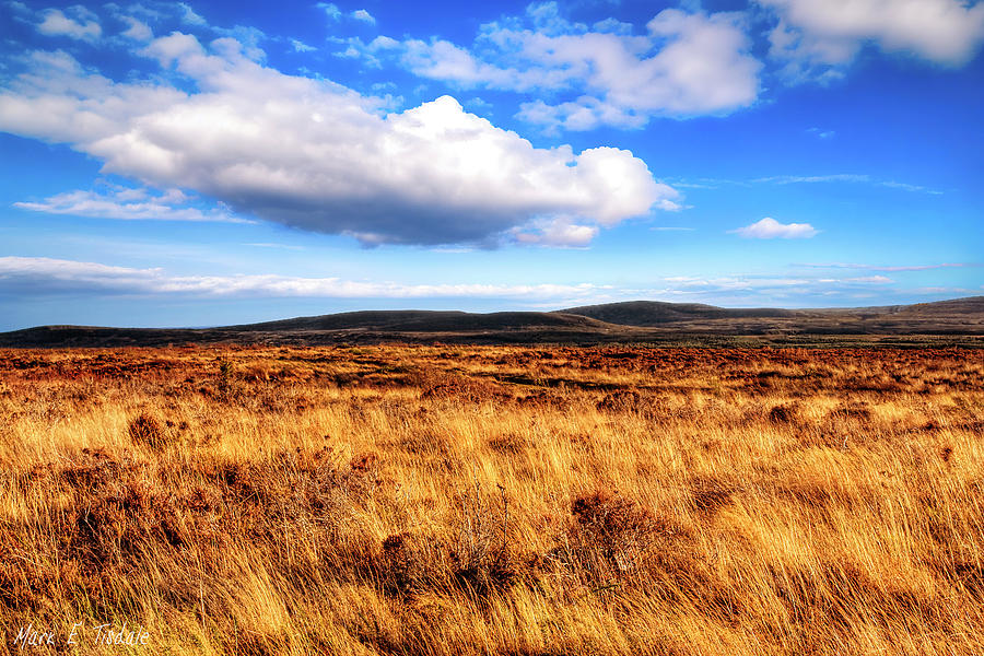 Haunting Beauty Of Culloden Moor Photograph by Mark E Tisdale
