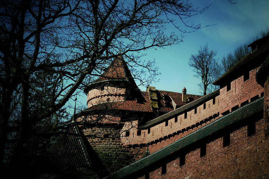 Haut Koenigsbourg Castle Photograph by Nadalyn Larsen