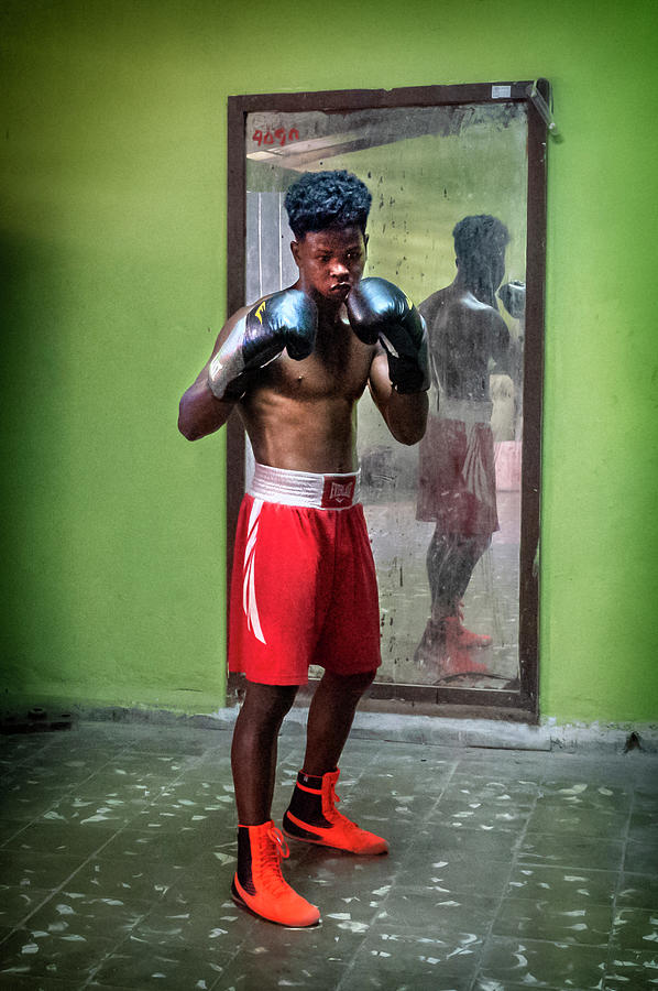 Havana Boxer Photograph by Kathryn McBride