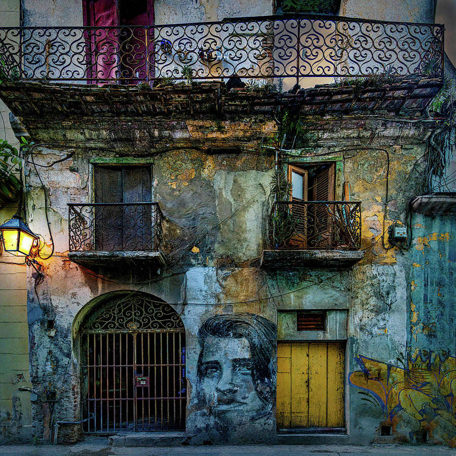 Havana Habitat Photograph by Chris Lord