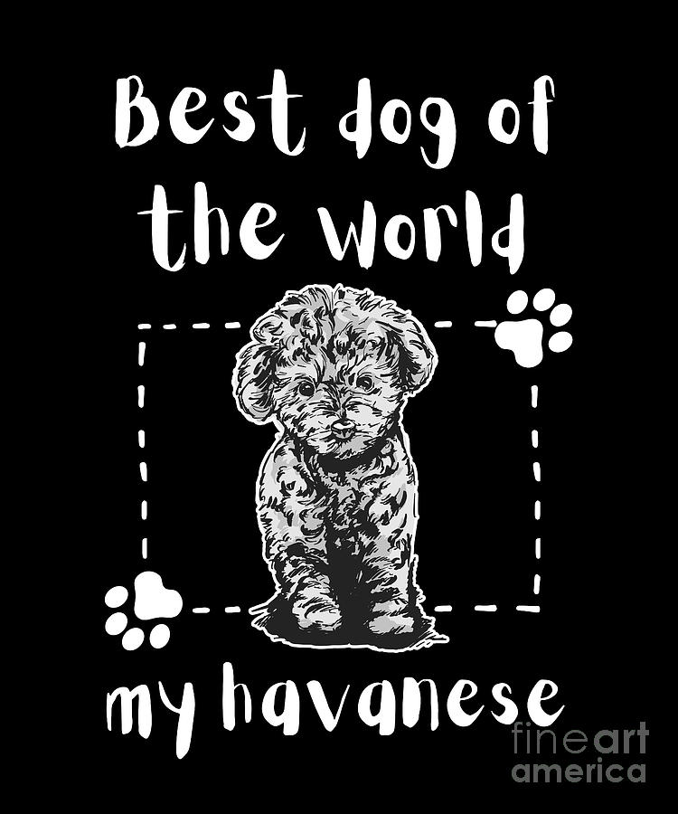 Havanese Best Dog World Gift Quote Love Digital Art by Ten Shirt Fine