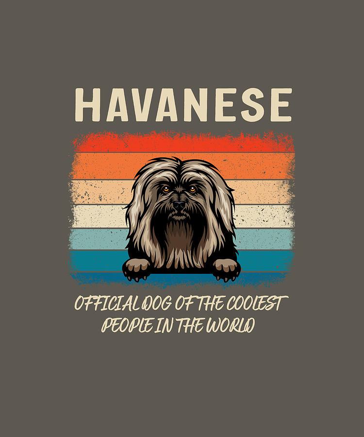 Havanese Official Dog Digital Art by Job Shirts - Fine Art America