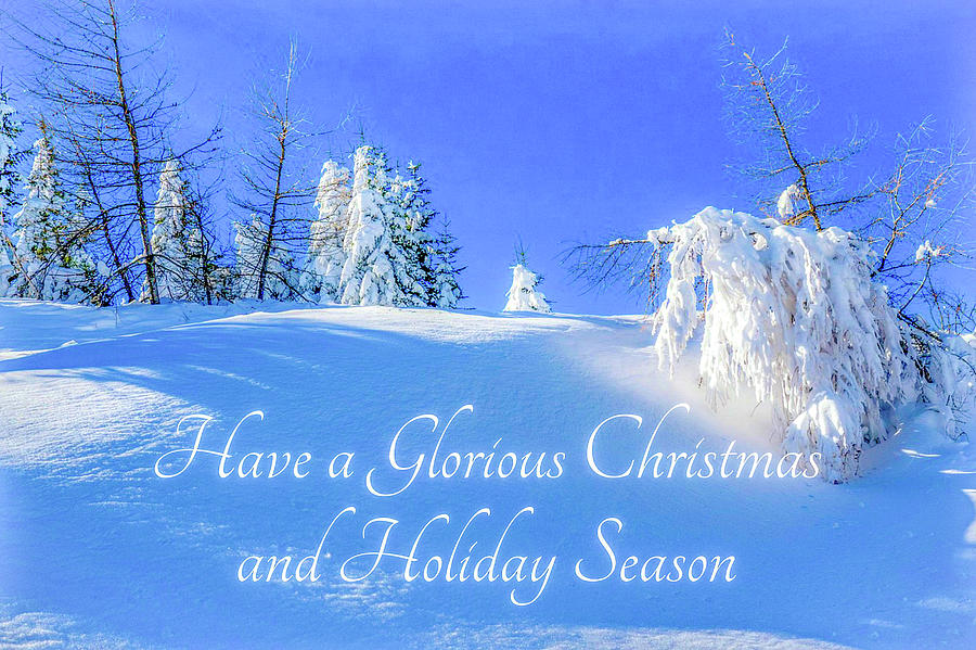 Have a Glorious Christmas and Holiday Season Photograph by Cepiatone Fine Art Callie E Austin