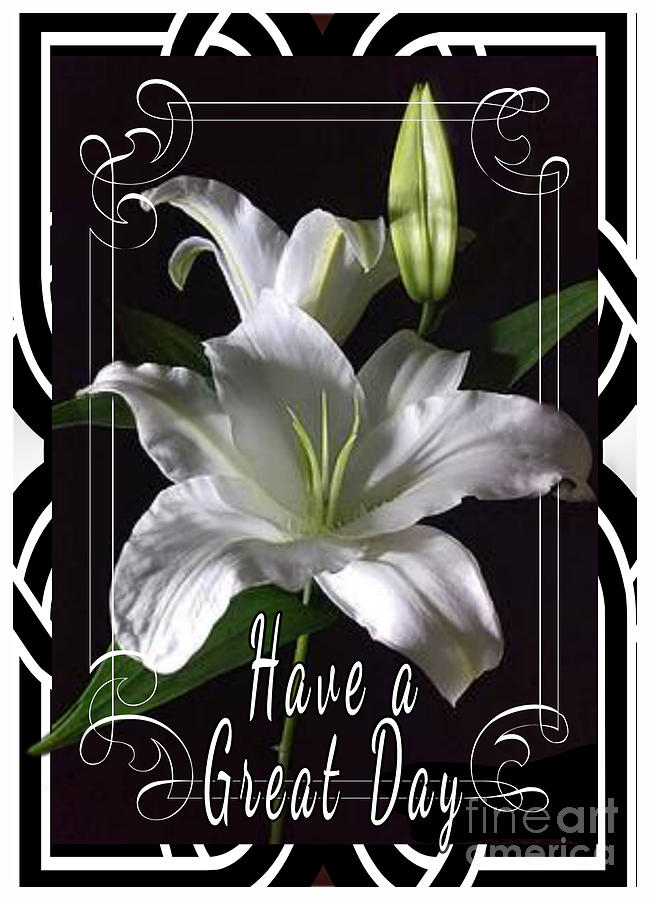Have a Great Day Card Digital Art by Delynn Addams