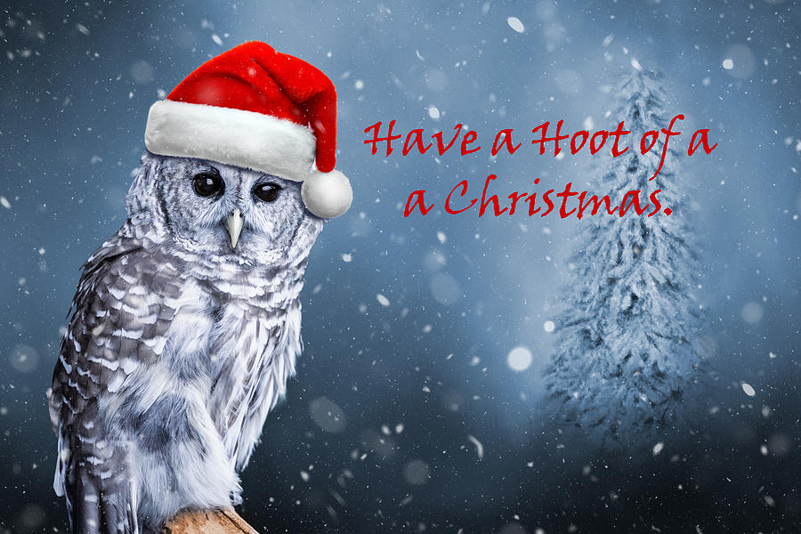Christmas Mixed Media - Have A Hoot of a Christmas by Ed Taylor