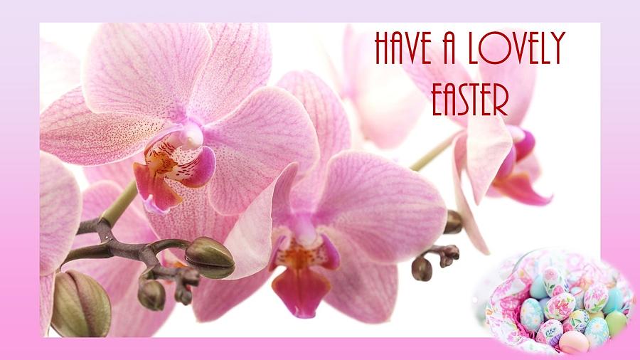Have A Lovely Easter Photograph by Nancy Ayanna Wyatt