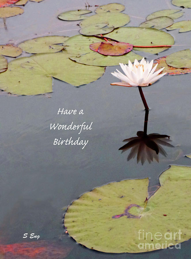 Have a Wonderful Birthday Card Mixed Media by Sharon Williams Eng