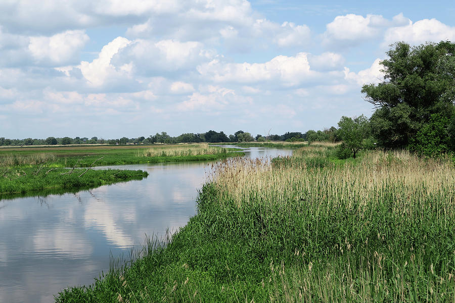 Havel river in summer flowing through Havelland Photograph by Art ...