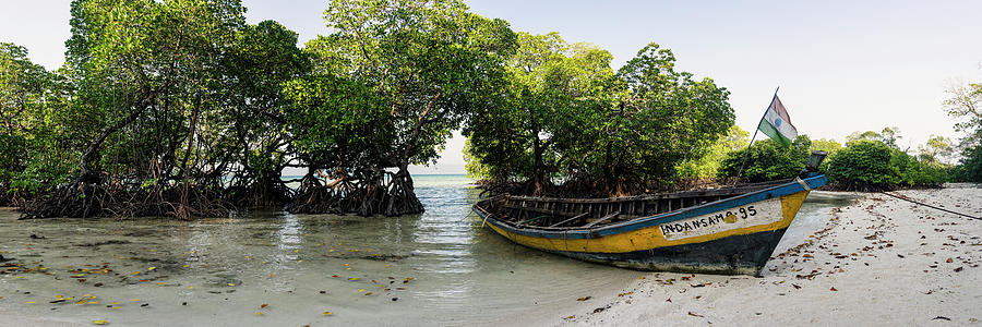Havelock Island beach Mangroves and boat Andamans Photograph by Sonny Ryse